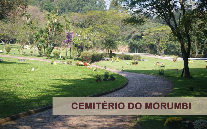 Cemitério do Morumbi capa
