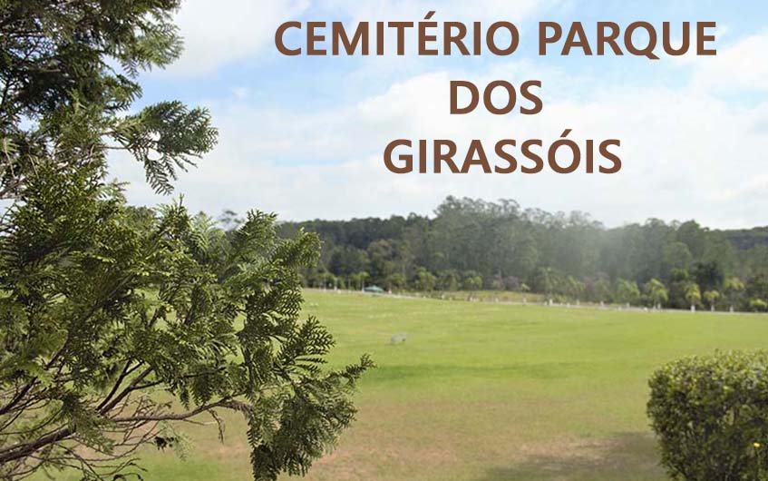 cemitério parque dos girassóis 12 2