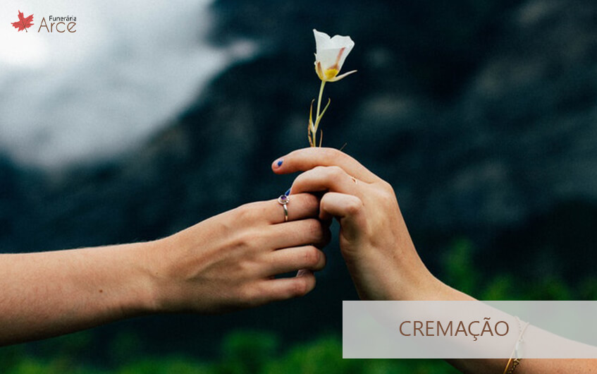 Cremação