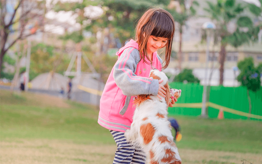 Garota brincando com cachorro em um parque - animal de estimação