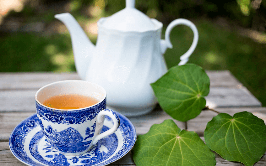 Bule e xícara de chá com folhas verdes